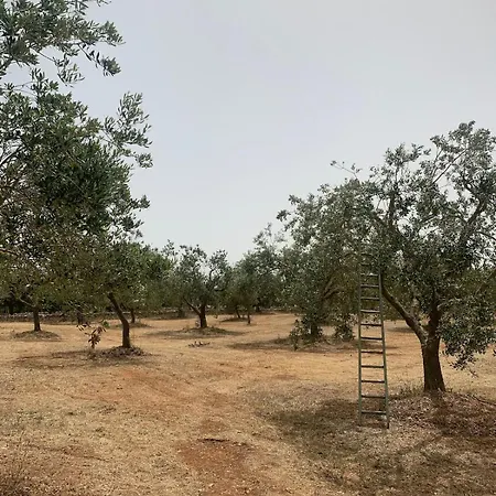 Σπίτι διακοπών Lamia Olivetta *