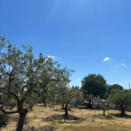 Lamia Olivetta Ostuni