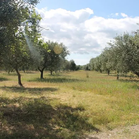 Lamia Olivetta Ferienhaus Ostuni